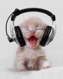 نمایه کاربر