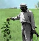 نماد کاربر